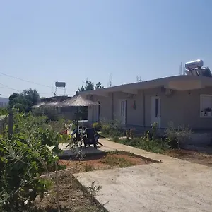 Rey Garden Wlora